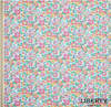 Liberty Tana Lawn® - SS26 - Betsy Check - LTL 036361039B