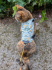 Liberty Lasenby Cotton - Craft Garden - Tapestry Trail 01667457C