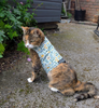 Liberty Lasenby Cotton - Craft Garden - Tapestry Trail 01667457C